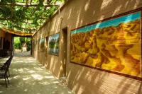 Homestay under the Grape Vine
