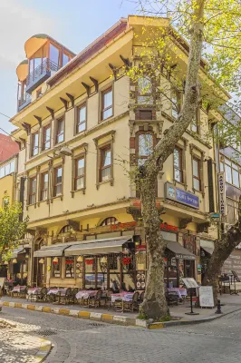 Hotel Spectra Sultanahmet - bar