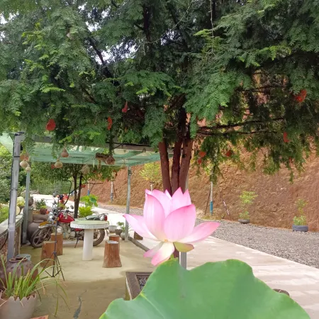 Chongyi Shangbao Hakka Countryside Homestay