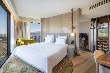 Swissôtel Tbilisi Отели рядом с достопримечательностью «Памятник  Церетели и Чавчавадзе»