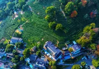Hangzhou Yazhuang Homestay（West Lake Scenic Area Store） - Bergblick