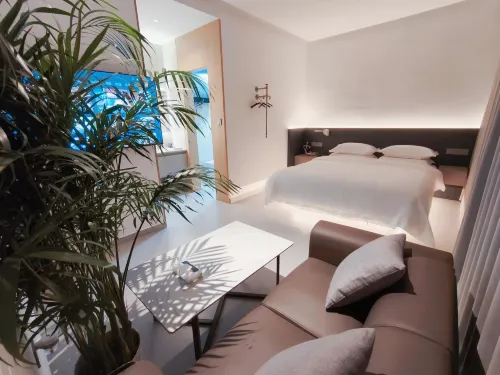 Yin Art Homestay (Jinhua Lanxi Youbu Ancient Town)