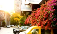 Yulin Garden Hotel (Nanbu government) - Parkering