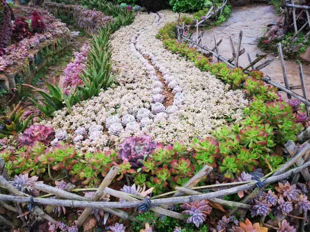 Enshi Dream Cloud Steps Guesthouse Отели рядом с достопримечательностью «Enshi Suobuya Stone Forest Scenic Area»