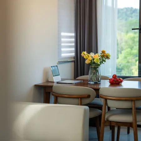 WUTONG-ACACIA INTERNATIONAL WELLNESS RESORT CONDO