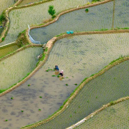 Jiabang Yunshang Terrace View Hotel