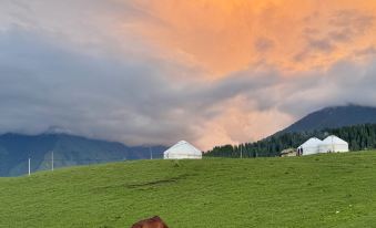 Qiongkushitai Captain and Bridge Homestay