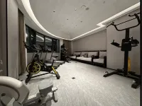 陌上輕雅酒店（平頂山萬達廣場丹尼斯奧萊天地店） - 健身室/gym room