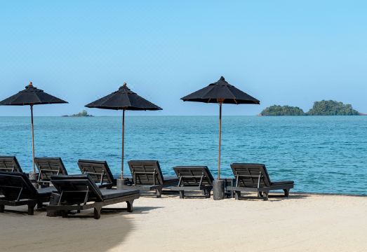 더 스플래시 코 창 썸네일