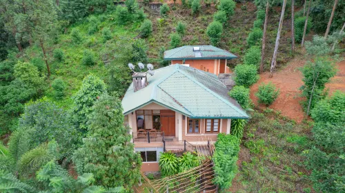 Tea Cottage Resort & Spa