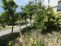 Qiziwan Banshan Banhai Homestay (Jiaotou Shanhaisong)