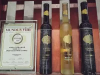 Aifeel Hotel (Tonghua Municipal Government Yuhuangshan Park)