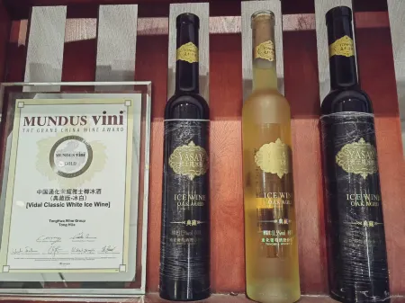 Aifeel Hotel (Tonghua Municipal Government Yuhuangshan Park)