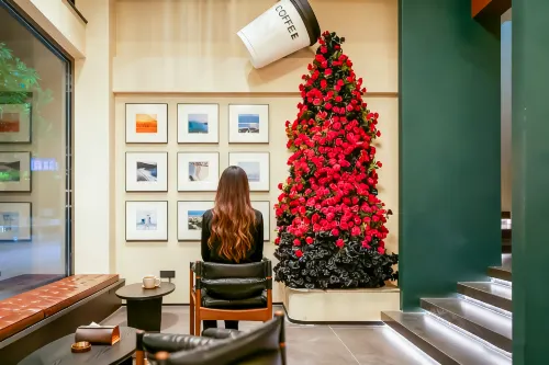 Ginza Photography Aesth Hotel