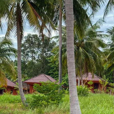 UmiResort