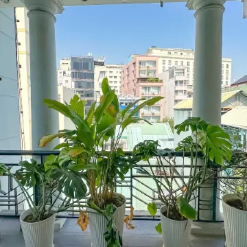 Ben Thanh Stay - Steps to Nguyen Hue Walking Street Отели рядом с достопримечательностью «Район 1»