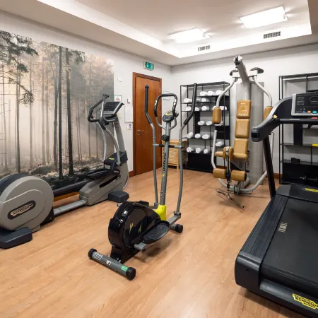 Holiday Inn MILAN - GARIBALDI STATION by IHG