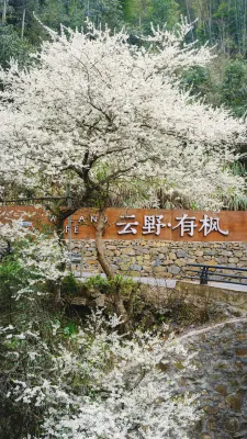 Yunye Youfeng · Micro Resort Village Homestay