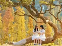 Fengshan shiman Boutique Hotel Hotels in Fengshan