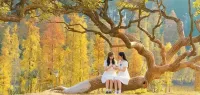 Fengshan shiman Boutique Hotel