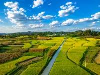 Anshun Bicui | HeFeng RiceBreezee Hefeng Yejing Design Guesthouse (Jiuzhou Old Town) - Mountain view