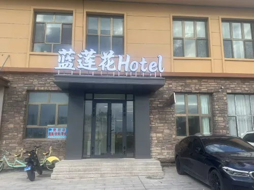 賽里木湖藍蓮花飯店 - 廚房