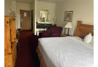 威利斯頓的公平橋旅館和套房 - Wi-Fi