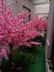 Wangcang Aijia Business Hotel