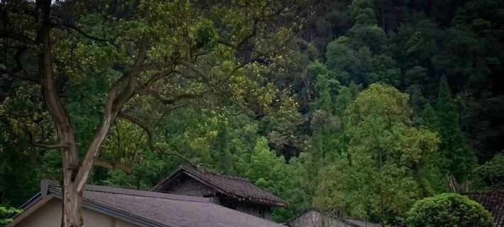Solowandering·lehsna Hotels in Leshan