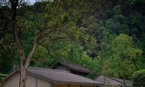 Leshan solo Wandering Resort hotel