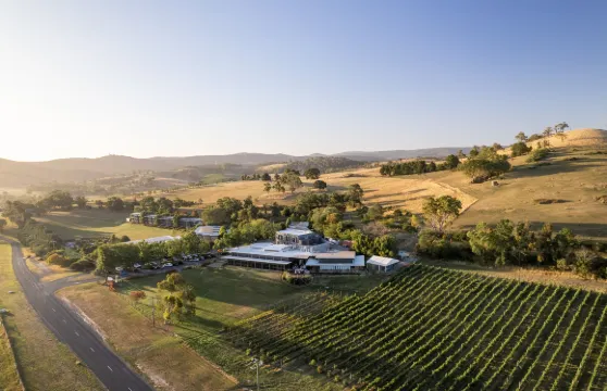 博爾基尼酒莊葡萄園水療度假村