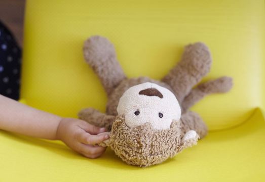 더 리츠-칼튼 닛코 객실에서 바라본 뷰