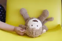 The Ritz-Carlton, Nikko