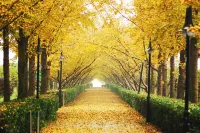 Qingqing Inn 지밍춘/계명촌 기차역 주변 호텔