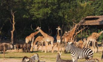ECHIC Hotel (Guangzhou Chimelong Wildlife World)