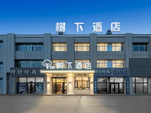 Area Tree Hotel Hotels in East Ujimqin Banner