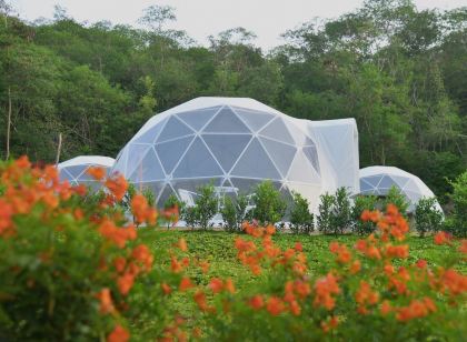 NiNo San Glamping - Pak Chong