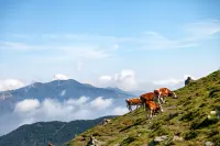 Mijing Homestay (Wutai Mountain Scenic Area) - 2 ดาว