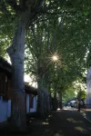 Langzhong Confucian Courtyard - Romantic