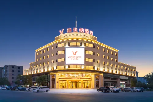 Vienna Hotel (Yingkou Dashiqiao Municipal Government Railway Station) - breakfast