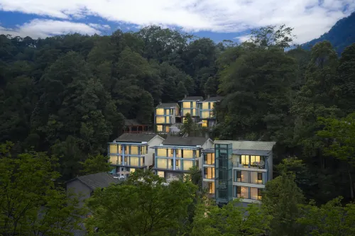 青城山沐光雲墅私湯度假飯店 - 酒吧