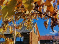 Deer and Freedom Mountain Villa - ที่มีบาร์