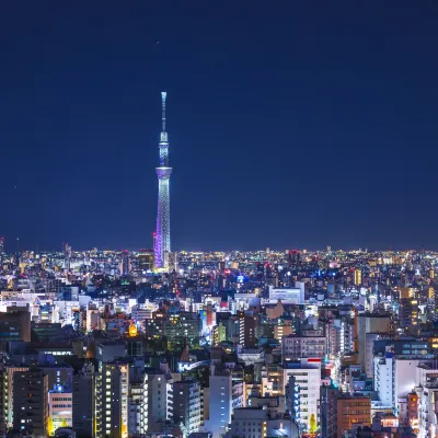 hotel sumiyoshihormone 코토 구 주변 호텔