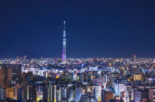 hotel sumiyoshihormone 코토 구 주변 호텔