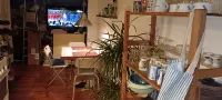Private bedroom near Alexanderplatz in Sharing Apartment