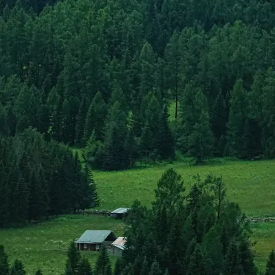 INWARD PEAK· · Luxury · Forest Designer Vacation Homestay (Kanas Scenic Area Branch) Hotels near Kanas Tuva Village
