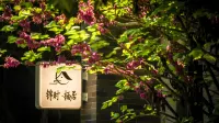 jinshi - Kitchen