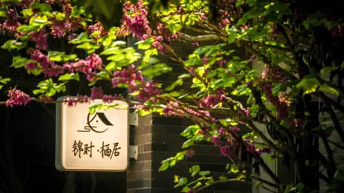 jinshi - مطابخ