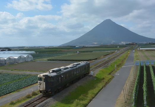 호텔 조식 및 로비