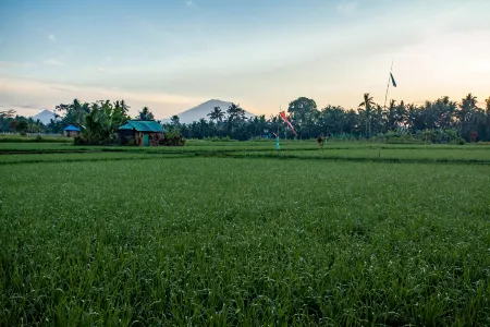 Arya Villas Ubud